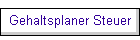 Gehaltsplaner Steuer